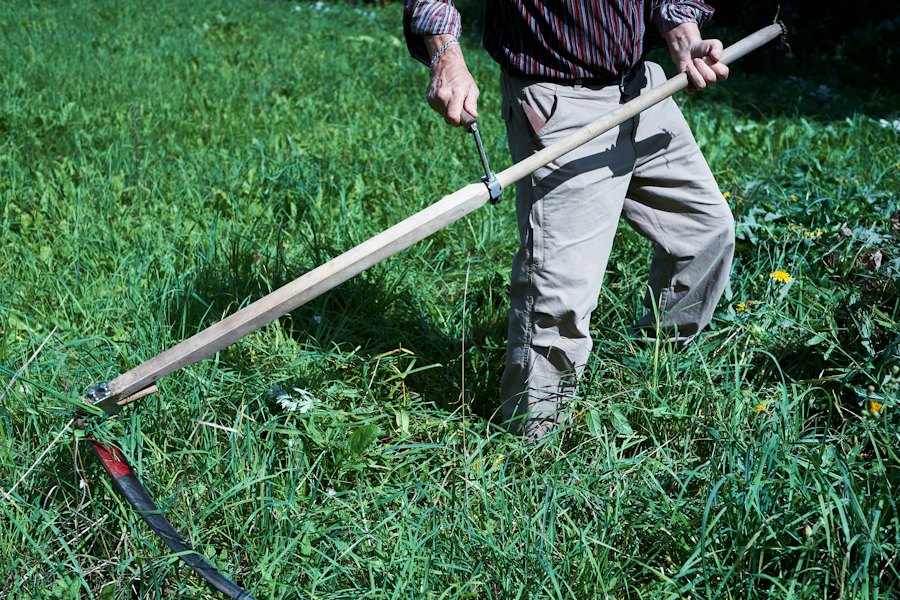 Lawn cleanup and grass clearing