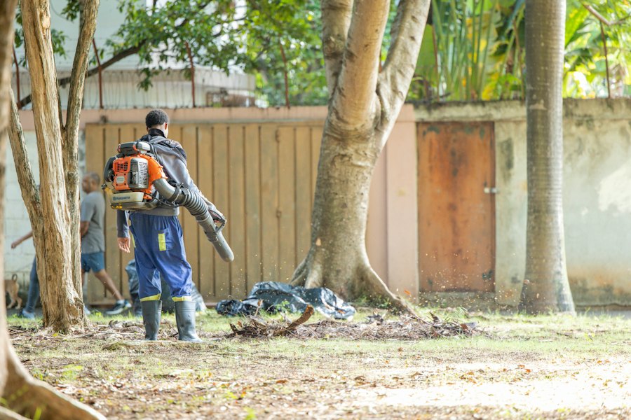 Pest control treatment in a garden